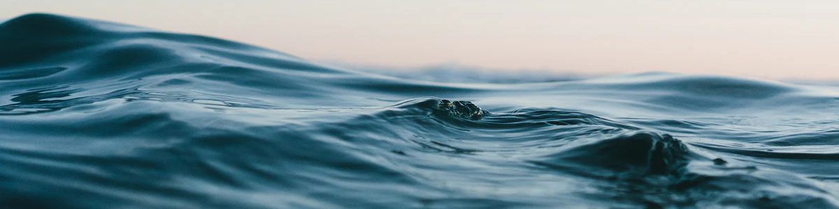 Isle of Wight Distillery - Digital Distiller