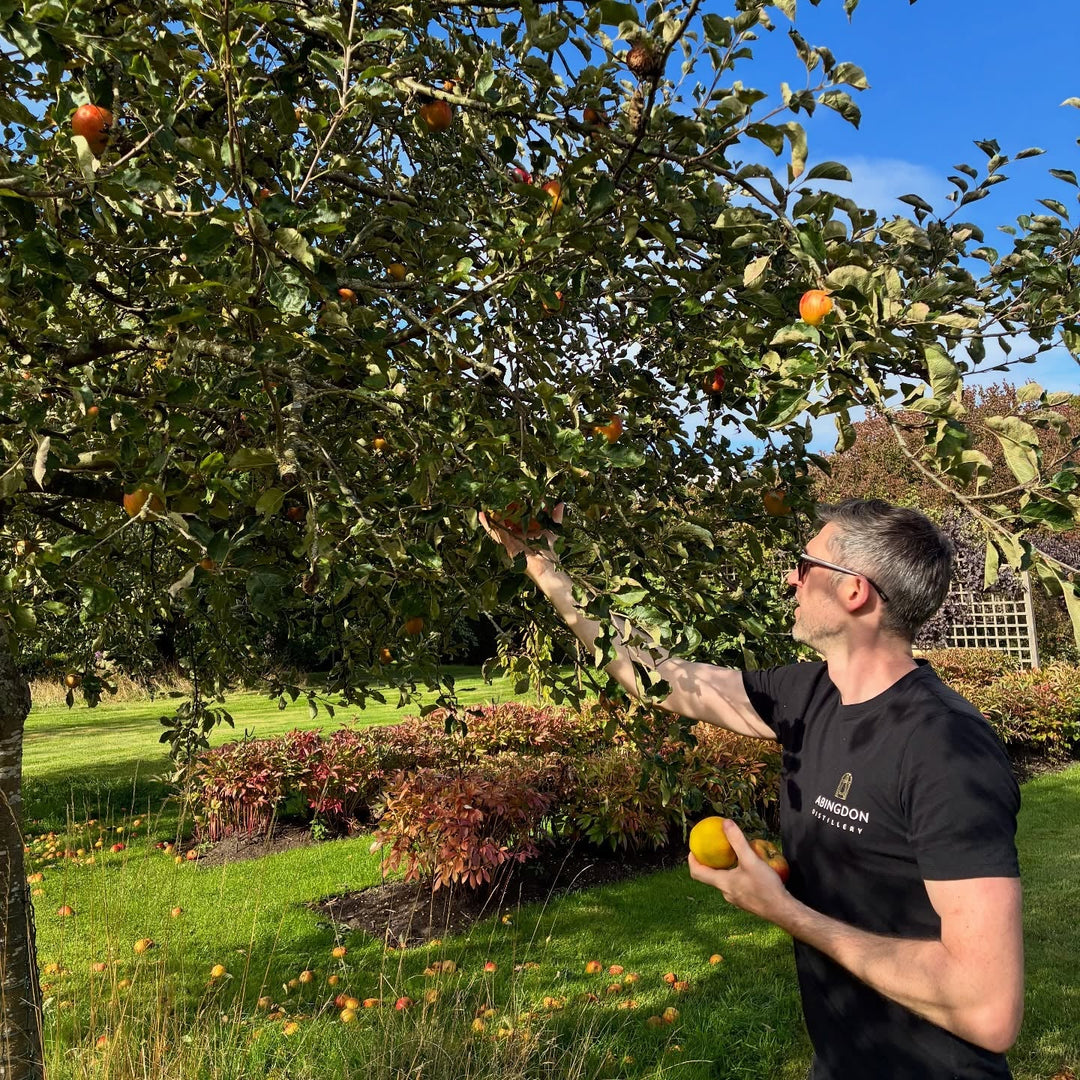 Abingdon Distillery - Abingdon Distillery Apple Brandy, 50cl - Brandy - Digital Distiller