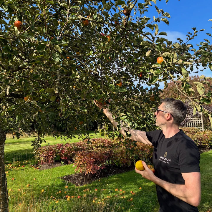 Abingdon Distillery - Abingdon Distillery Apple Brandy, 50cl - Brandy - Digital Distiller