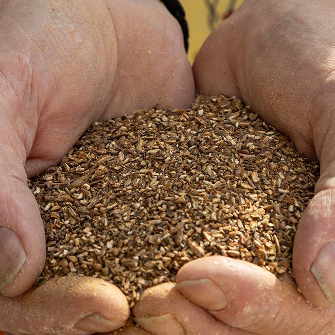 Close-up of hands holding a handful of grain with a blurred background