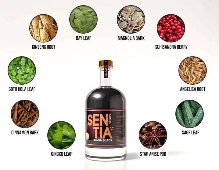 Sentia - Sentia GABA Black 50cl x 2 - Non - Alcoholic - Digital Distiller