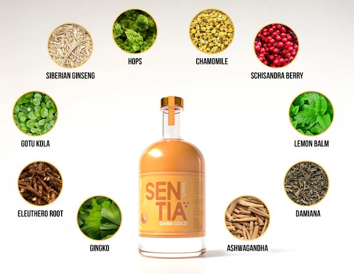 Sentia - Sentia GABA Gold 50cl x 3 - Non - Alcoholic - Digital Distiller