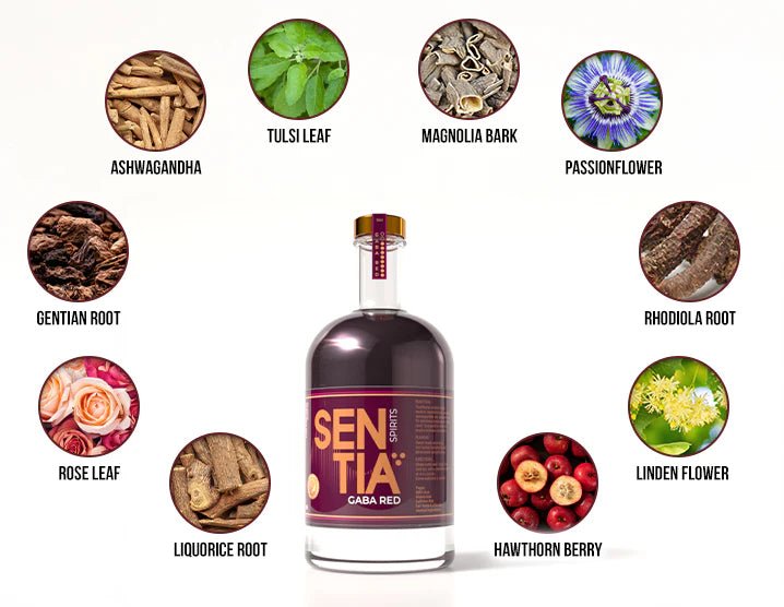 Sentia - Sentia GABA Red 50cl x 2 - Non - Alcoholic - Digital Distiller