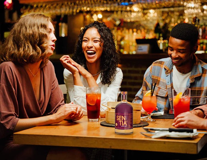 Sentia - Sentia GABA Red 50cl x 2 - Non - Alcoholic - Digital Distiller