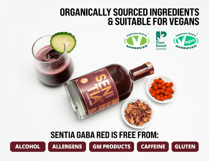 Sentia - Sentia GABA Red 50cl x 2 | Non - Alcoholic Spirit - Non - Alcoholic - Digital Distiller