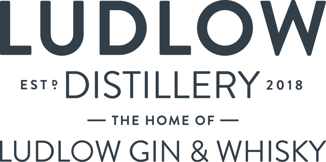 Ludlow Distillery - Shropshire Honey Spiced Whisky Liqueur, 20cl - Liqueurs - Digital Distiller