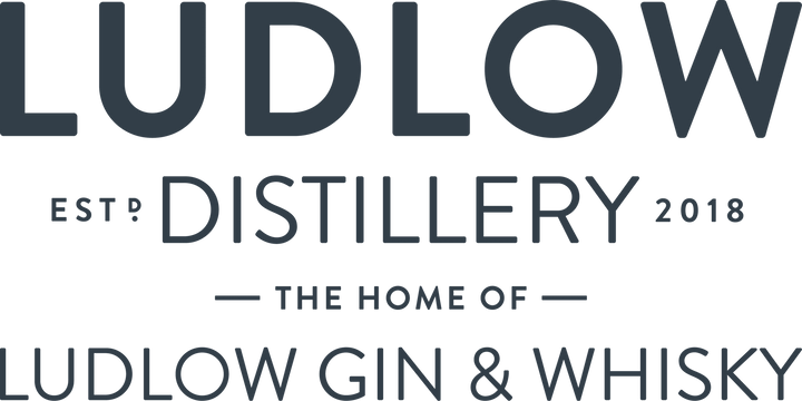 Ludlow Distillery - Shropshire Honey Spiced Whisky Liqueur, 20cl - Liqueurs - Digital Distiller