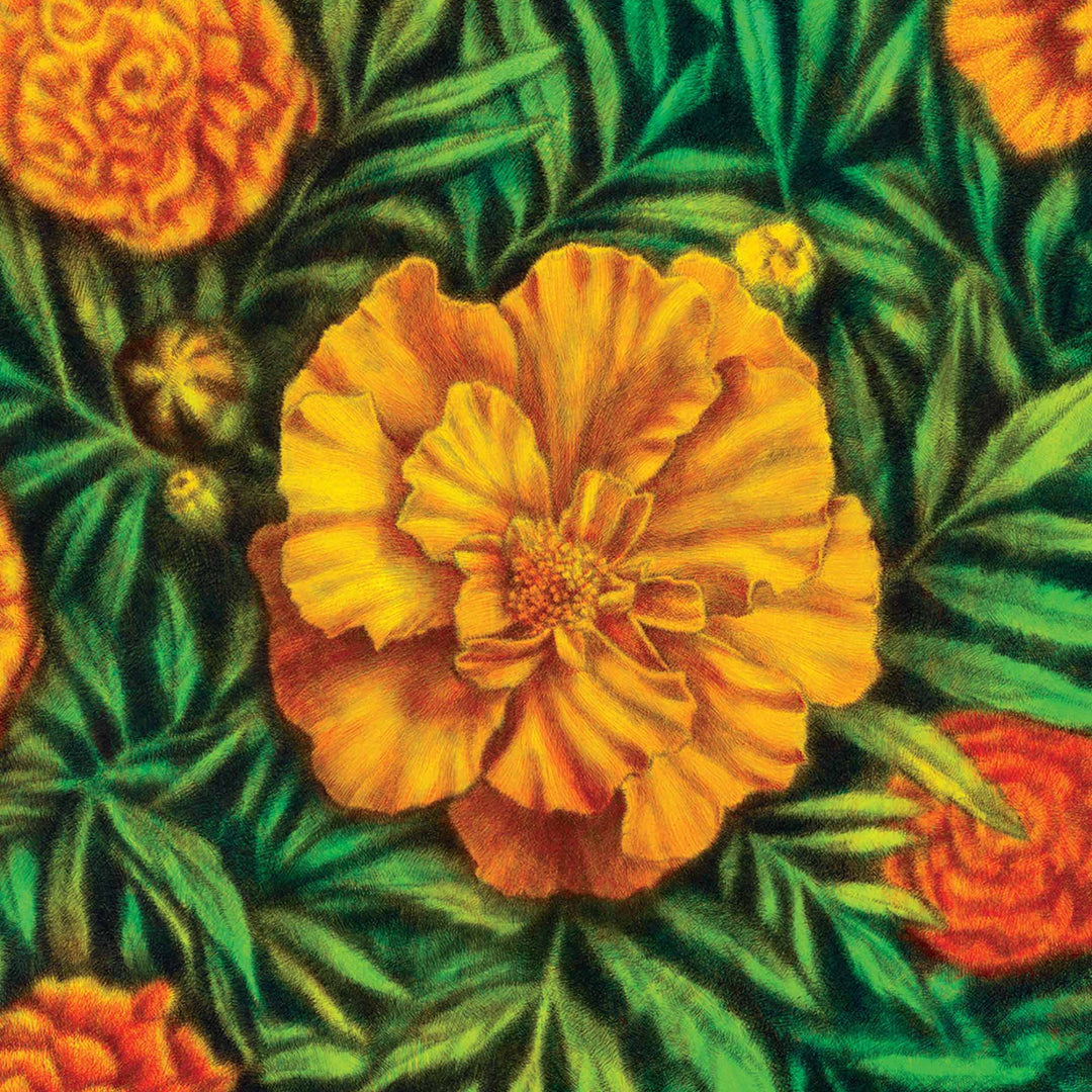 The Lakes Distillery - The Lakes Distillery Reflections, The Whiskymaker's Editions Sherry Cask English Whisky, 70cl - Whisky - Digital Distiller